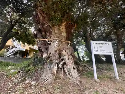 日吉神社(福井県)