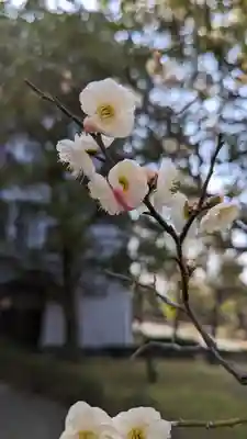  智積院(京都府)