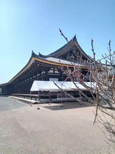 蓮華王院（三十三間堂）(京都府)
