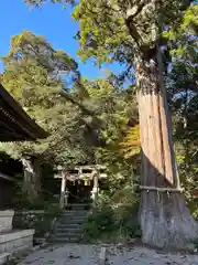 菅生石部神社(石川県)