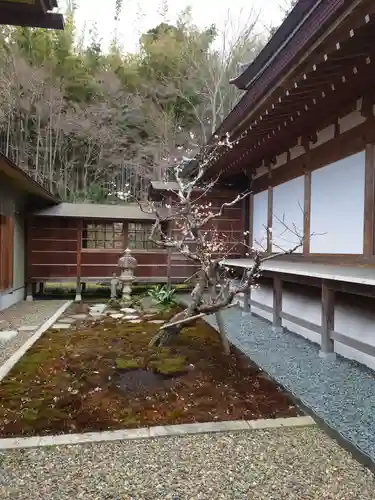 薬王寺(千葉県)