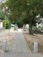 近津神社(埼玉県)