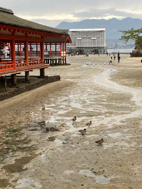 厳島神社の景色