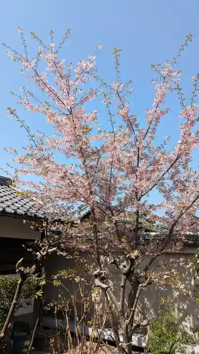 後白河院御聖蹟 法住寺(京都府)