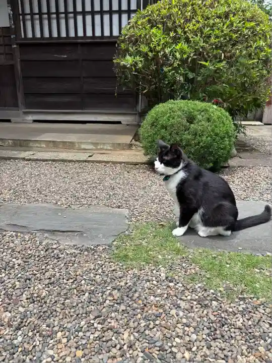 観福寺(千葉県)