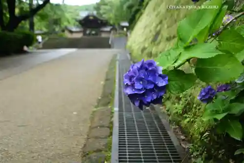 円覚寺(神奈川県)