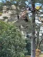 龍翔寺(萬歳龍翔禅寺)(京都府)