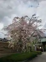 福蔵院(東京都)