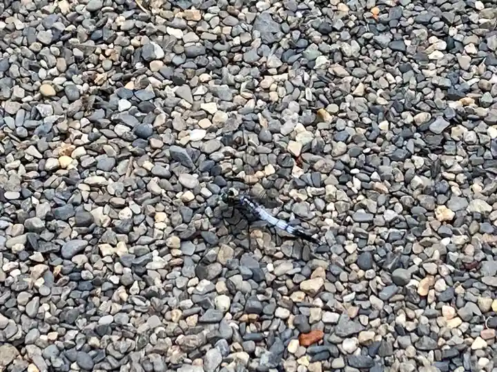 弘長寺(長野県)