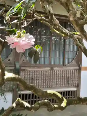 法然院(京都府)