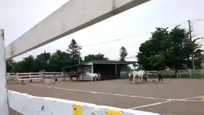 瓜幕神社の周辺