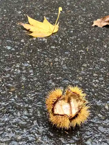 手稲神社(北海道)