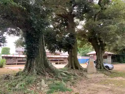 須賀神社(千葉県)
