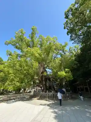 大山祇神社(愛媛県)