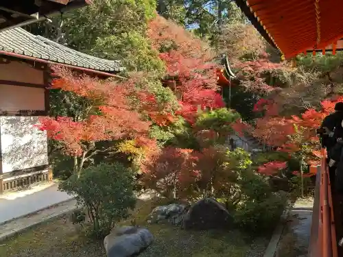 毘沙門堂門跡(京都府)