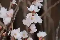 阿邪訶根神社の授与品その他