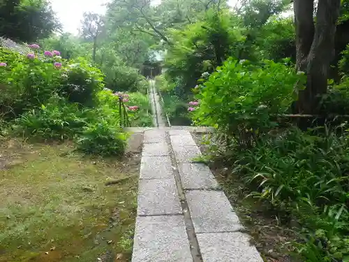 妙法寺の庭園