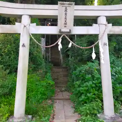 大麻止乃豆乃天神社の鳥居