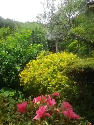 瑞泉寺の庭園