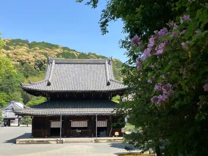 御寺 泉涌寺(京都府)