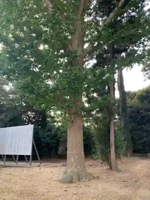 水神社(千葉県)