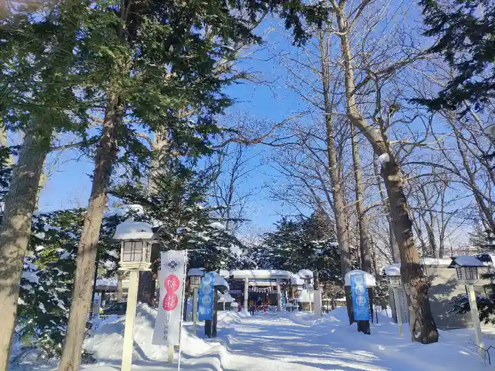 新琴似神社の初詣