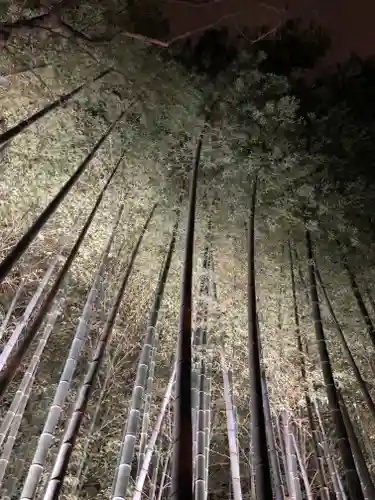 青蓮院門跡の自然