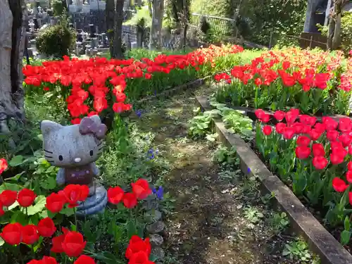 泉蔵寺の庭園