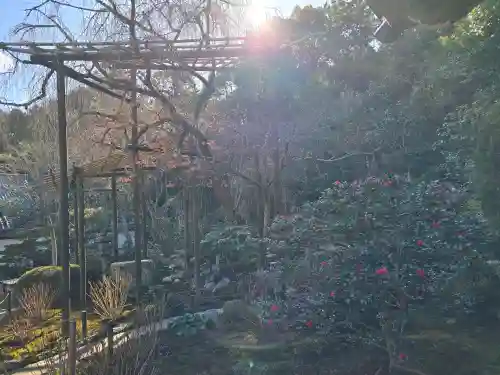 一條殿 新善光寺(京都府)