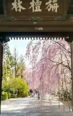 吉祥寺のその他建物