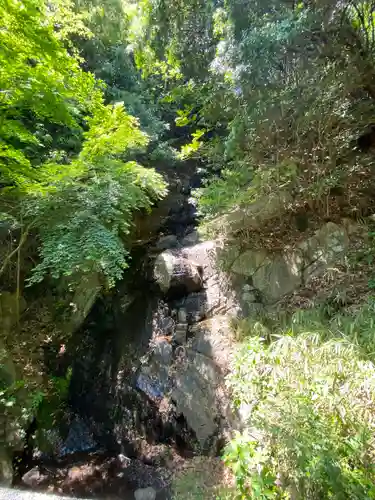 鳴滝不動の周辺