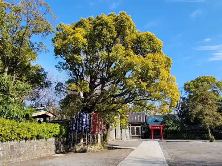 稲毛神社のその他建物