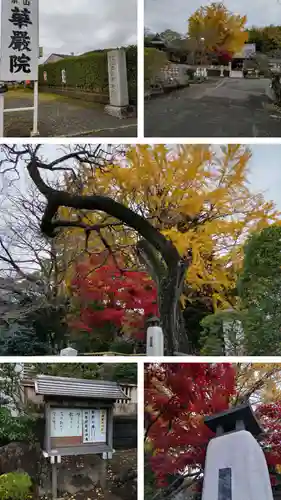 華嚴院の山門