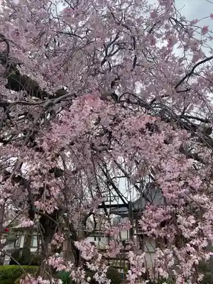 洞昌院(神奈川県)