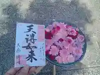 大念佛寺の御朱印