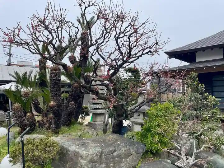 安国院の{uncategorized: "未分類", other: "その他", undefined: "問題あり", building: "その他建物", grave: "お墓", sacred_gate: "鳥居", guardian: "狛犬", statue: "像", buddha: "仏像", history: "歴史", nature: "自然", garden: "庭園", animal: "動物", pagoda: "塔", temizu: "手水舎", mountain_gate: "山門・神門", sanctuary: "本殿・本堂", subordinate: "末社・摂社", art: "芸術", scenery: "景色", jizo: "地蔵", ema: "絵馬", goshuin: "御朱印", omikuji: "おみくじ", items: "授与品その他", amulet: "お守り", goshuincho: "御朱印帳", eats: "食事", festival: "お祭り", votive_dance: "神楽", shichigosan: "七五三参", wedding: "結婚式", experience: "体験その他", initially: "初詣", around: "周辺", anti_infection: "感染症対策"}