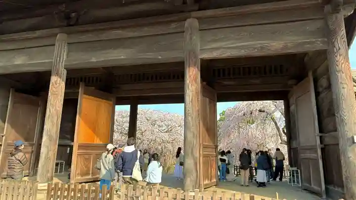 東郷寺(東京都)