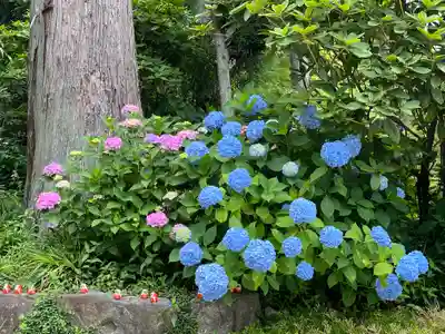 勝尾寺(大阪府)