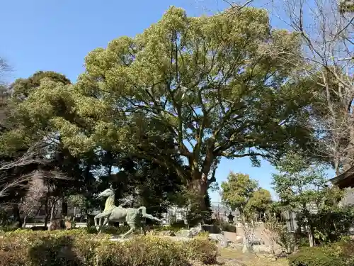 岐阜護國神社の{uncategorized: "未分類", other: "その他", undefined: "問題あり", building: "その他建物", grave: "お墓", sacred_gate: "鳥居", guardian: "狛犬", statue: "像", buddha: "仏像", history: "歴史", nature: "自然", garden: "庭園", animal: "動物", pagoda: "塔", temizu: "手水舎", mountain_gate: "山門・神門", sanctuary: "本殿・本堂", subordinate: "末社・摂社", art: "芸術", scenery: "景色", jizo: "地蔵", ema: "絵馬", goshuin: "御朱印", omikuji: "おみくじ", items: "授与品その他", amulet: "お守り", goshuincho: "御朱印帳", eats: "食事", festival: "お祭り", votive_dance: "神楽", shichigosan: "七五三参", wedding: "結婚式", experience: "体験その他", initially: "初詣", around: "周辺", anti_infection: "感染症対策"}