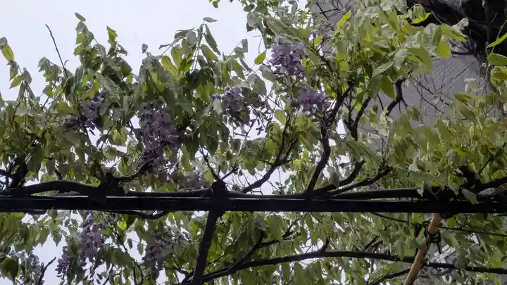 影藤大神(春日神社境外末社)(大阪府)