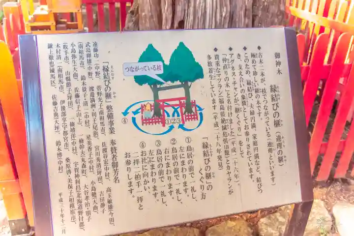 涼ケ岡八幡神社の自然