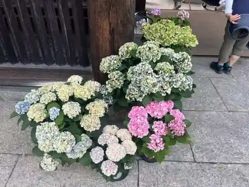 長谷寺(奈良県)