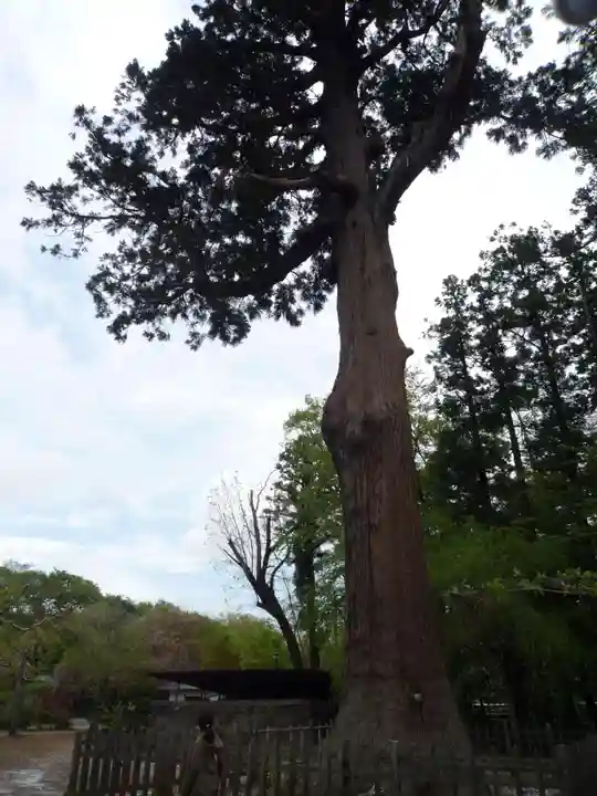 弘経寺(茨城県)