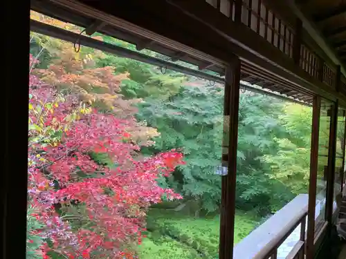 光明寺瑠璃光院の庭園