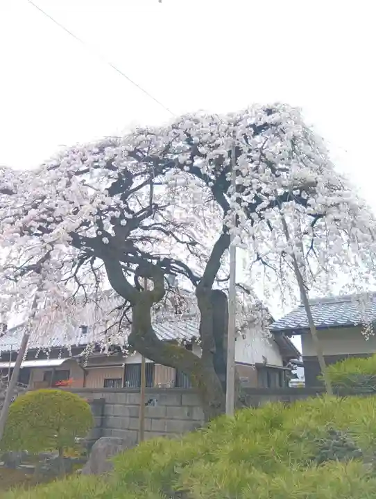寛立院(曼陀羅寺塔頭)(愛知県)