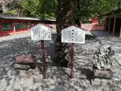 富士山本宮浅間大社の建物その他