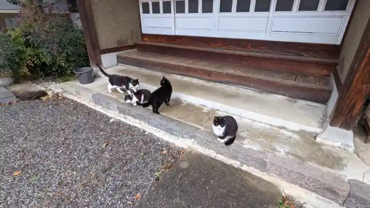 妙雲寺(岐阜県)