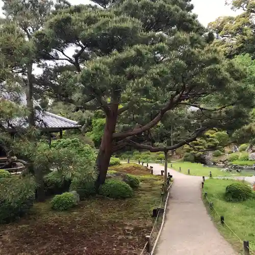 青蓮院門跡の庭園