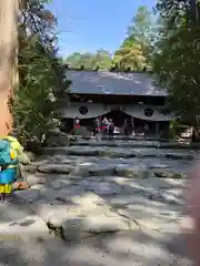 椿大神社の本殿