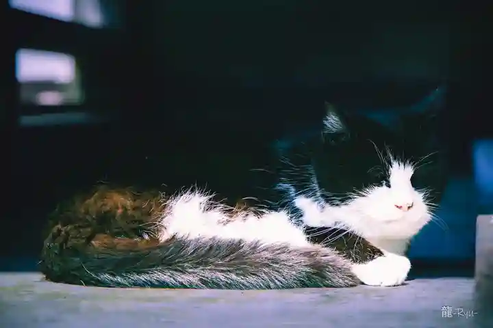 今市報徳二宮神社(栃木県)